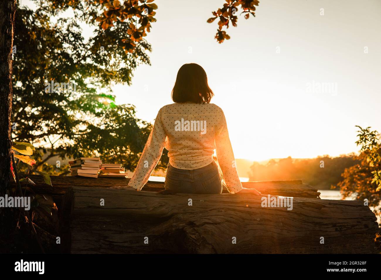 Rear View Of Teenage Girl Sitting On Wood During Sunset Stock Photo