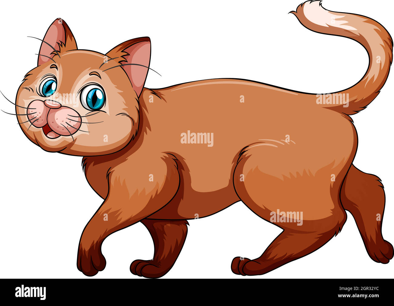 Kitten on a white background Stock Vector Image & Art - Alamy