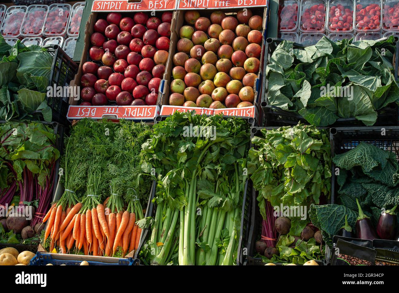 Waltham St Lawrence, UK. 26th September, 2021. Vegetable boxes which were auctioned later in the show. Royal East Berkshire Agricultural Association annual ploughing match at Church Farm. Credit: Maureen McLean/Alamy Stock Photo