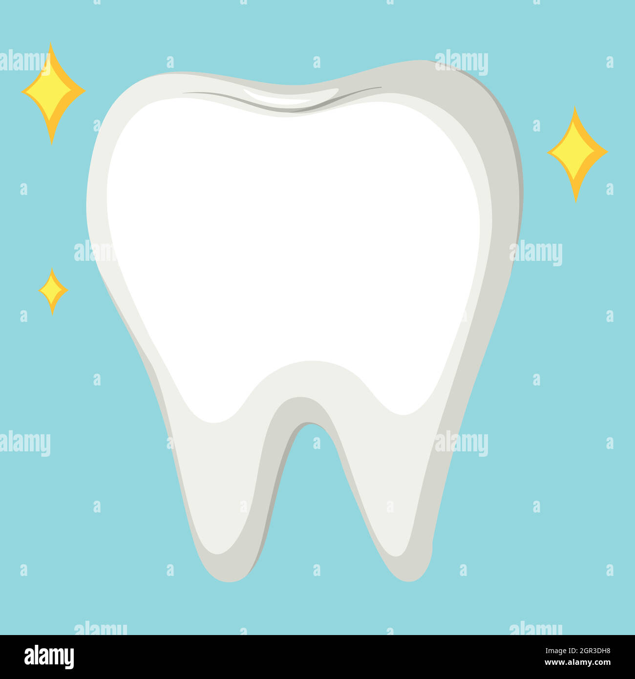 Bone up close Stock Vector Images - Alamy