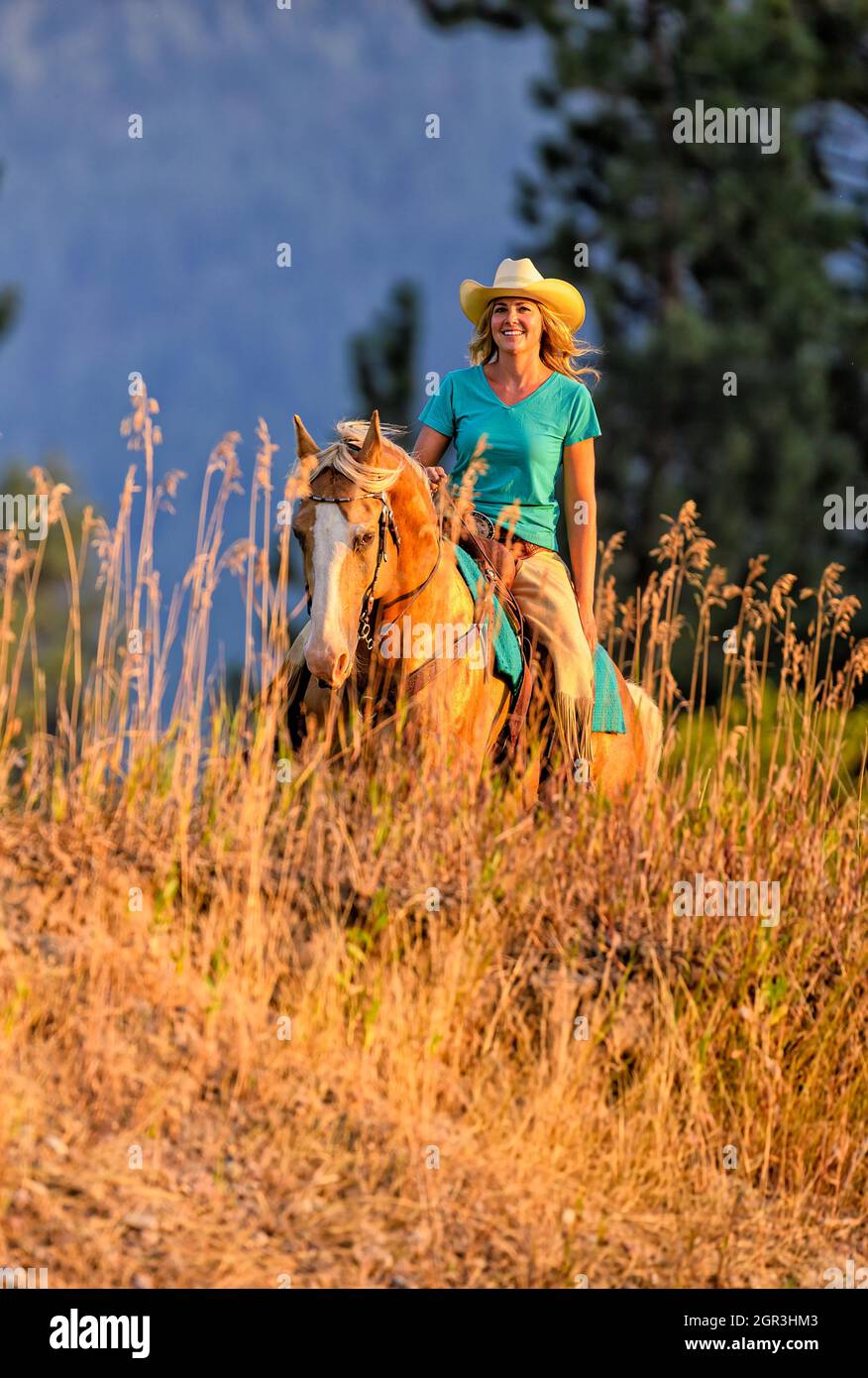 Kate and Lux riding through the tall grass along the ridge line Stock Photo