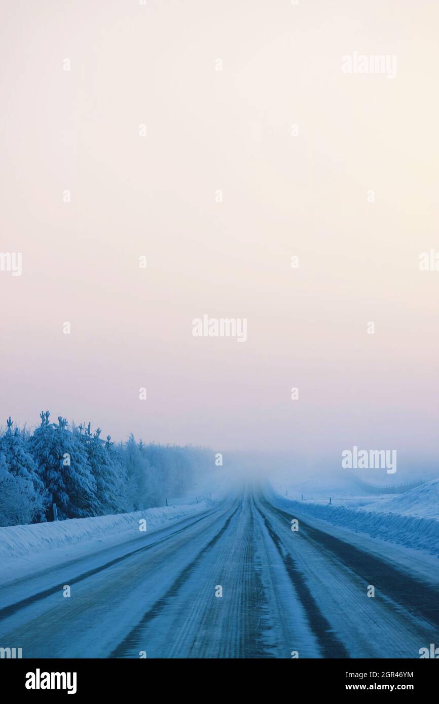 Road Amidst Trees Against Sky During Winter Stock Photo - Alamy Road Amidst Trees Against Sky During Winter Stock Photo - Alamy