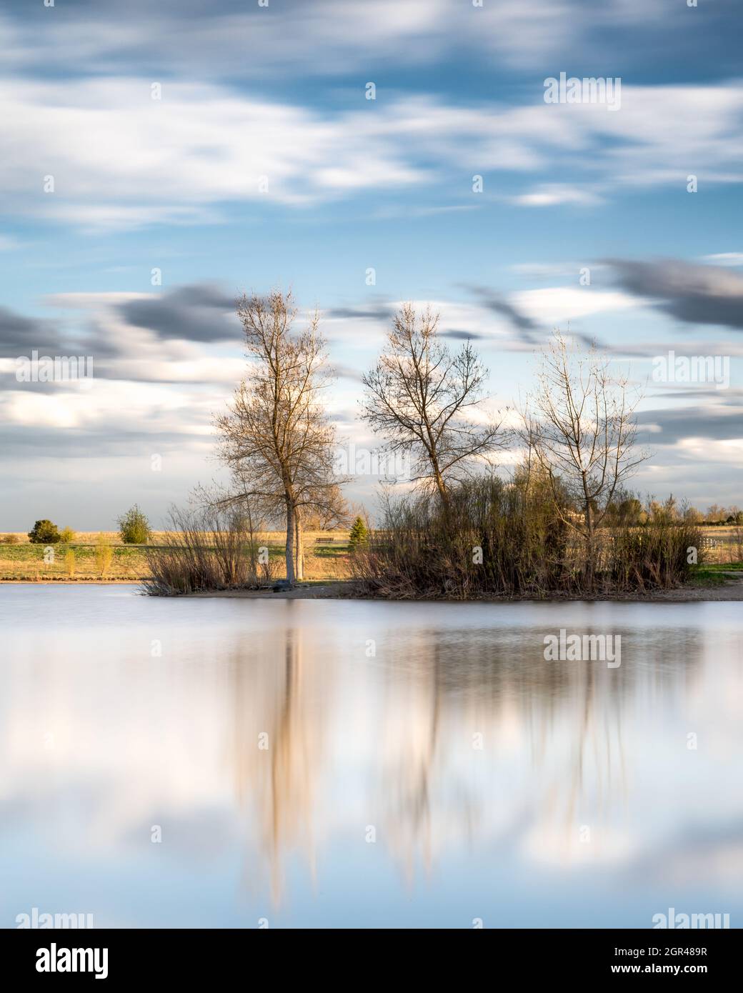 A long exposure of sunlit  trees reflecting in a pond. Stock Photo