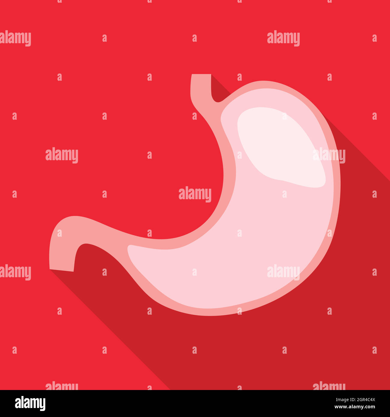 Stomach icon, flat style Stock Vector
