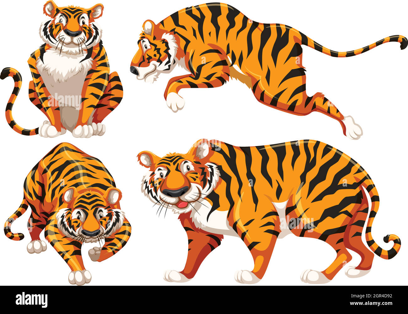 Endangered tigers Stock Vector Images - Alamy