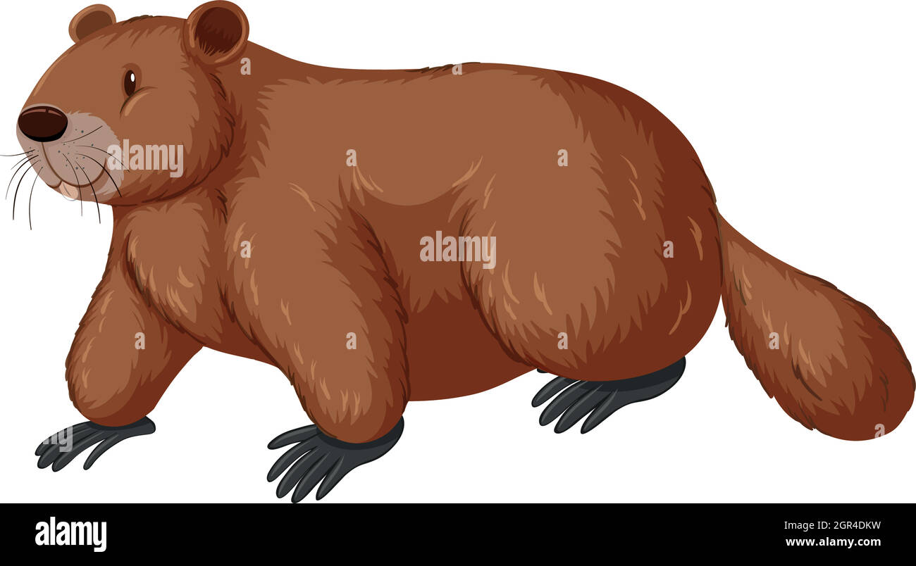Beaver with happy face Stock Vector