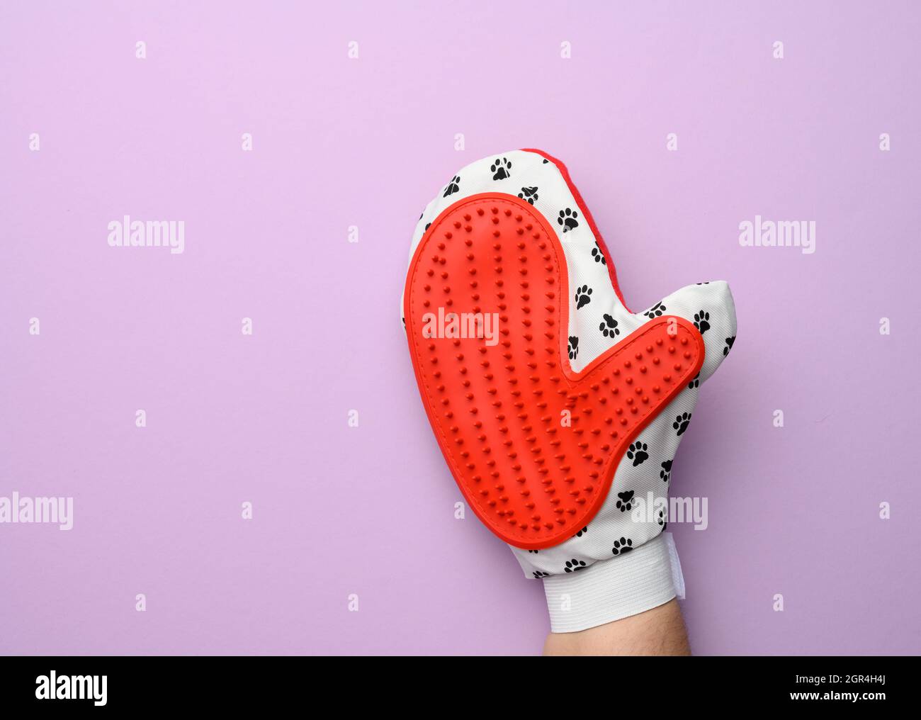 Dog hair rubber glove hires stock photography and images Alamy