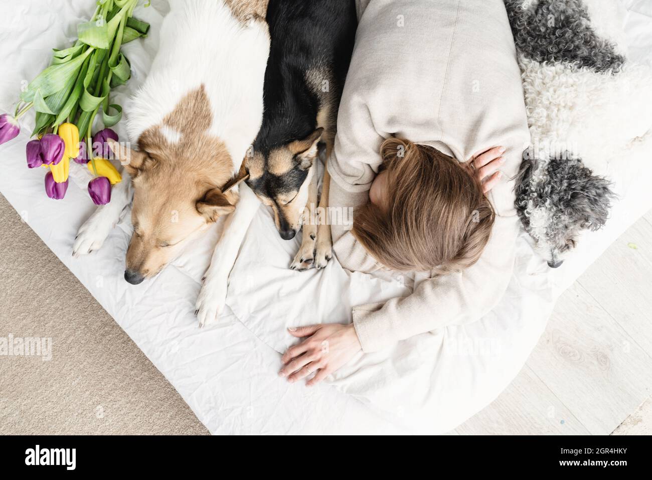 Can Dogs Sleepwalk With Their Eyes Open