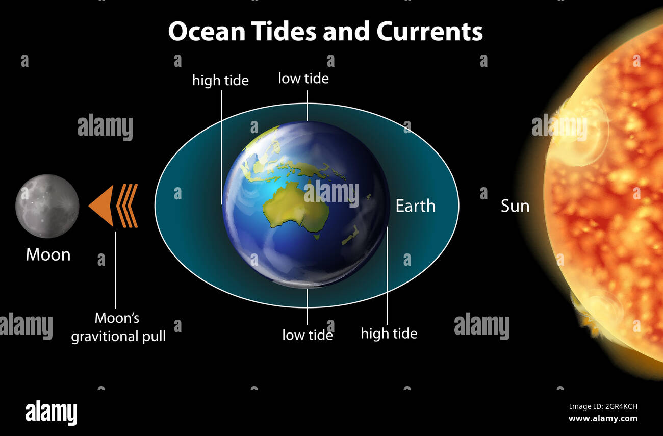 Ocean Tides and Currents Stock Vector