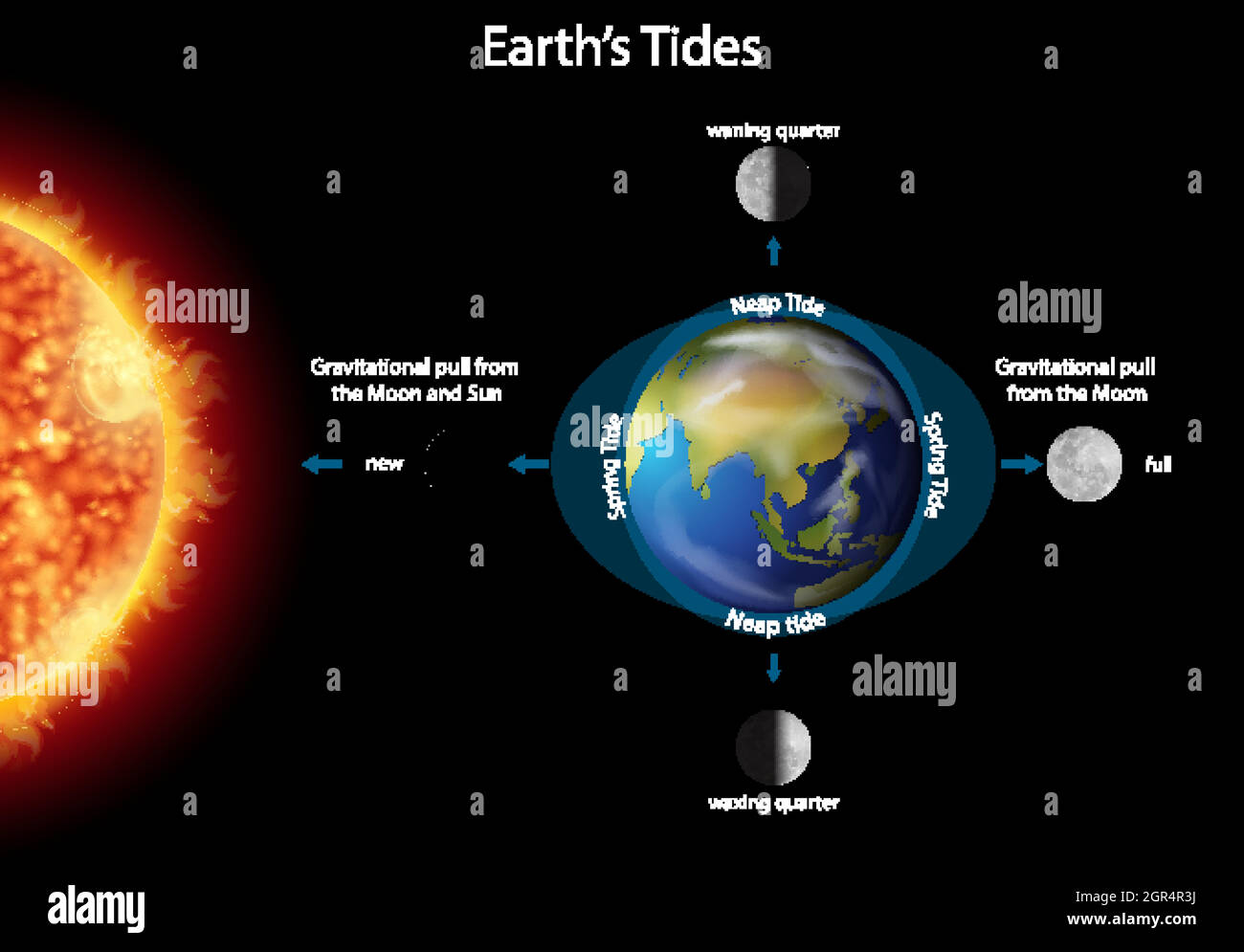 Diagram showing earth tides with earth and sun Stock Vector