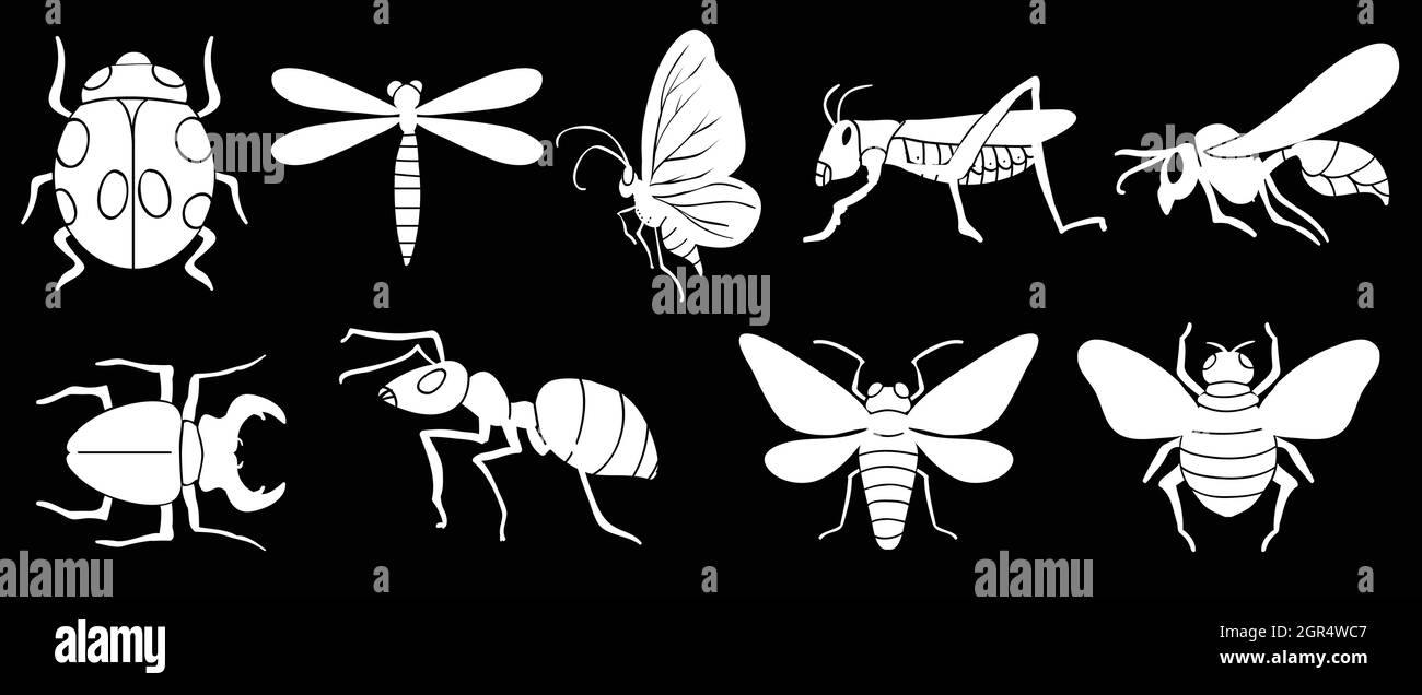 Different insects Stock Vector
