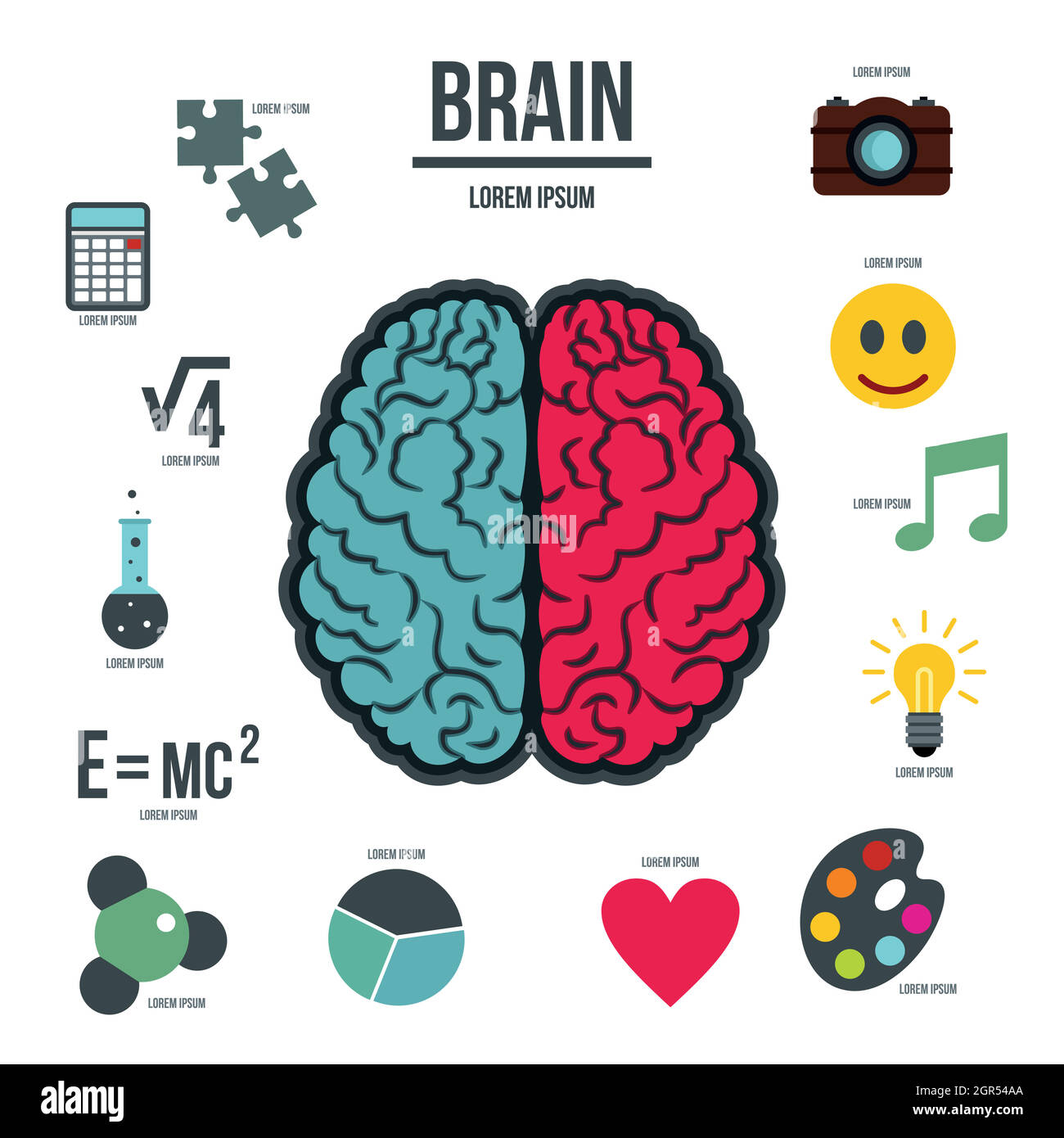 Human brain infographics set, flat style Stock Vector