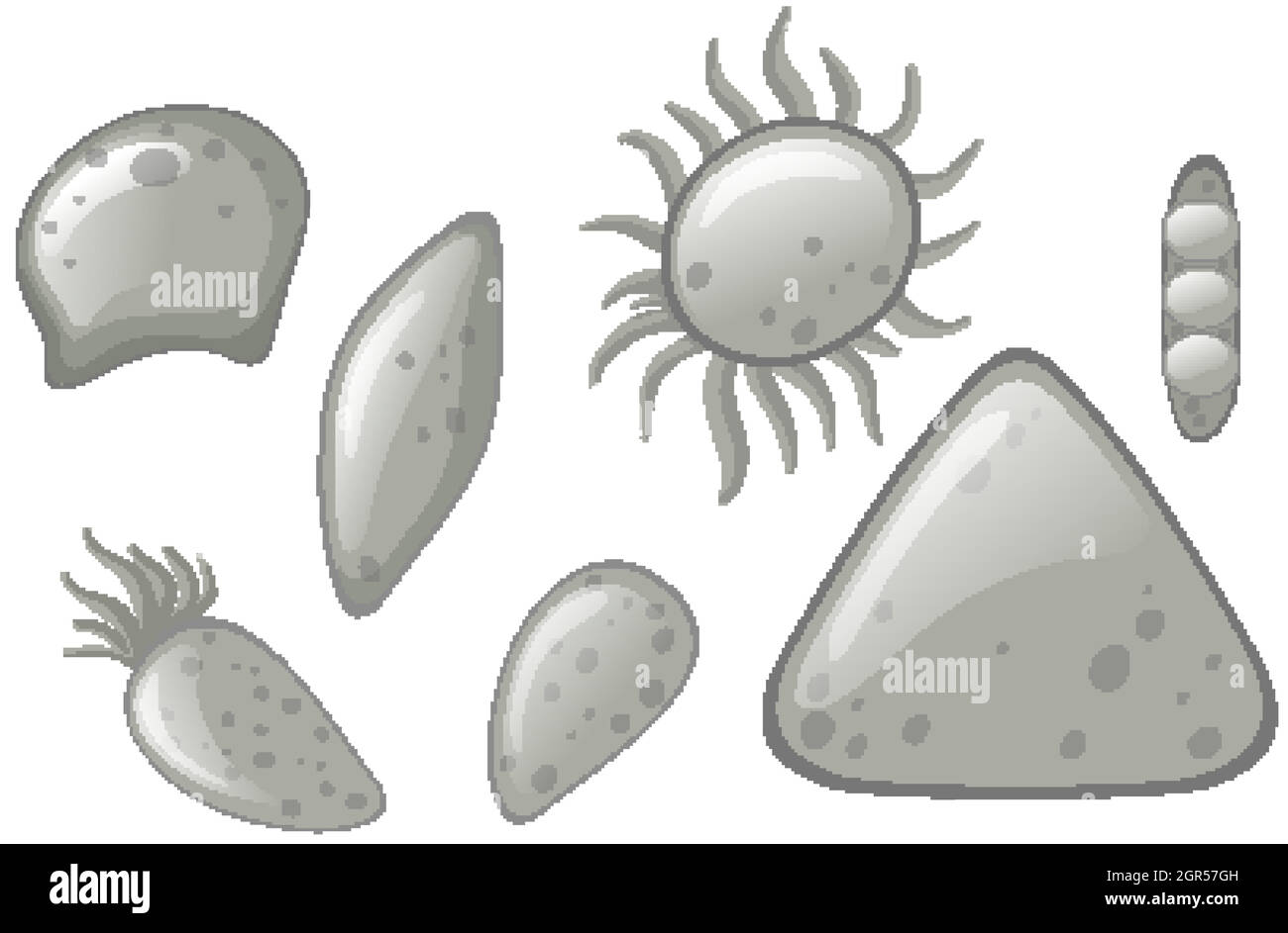 Set of different cells in gray color Stock Vector