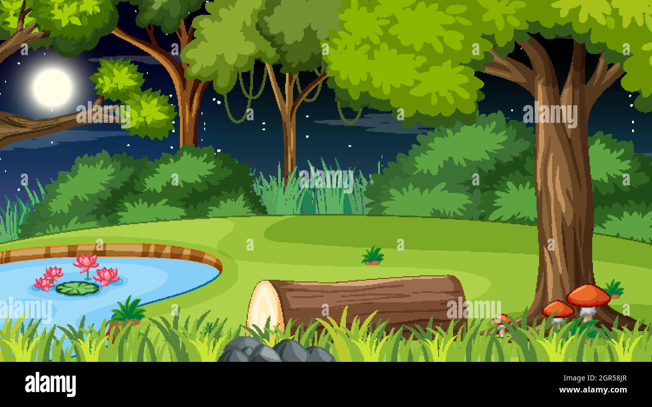Forest nature scene with pond and many trees at night Stock Vector