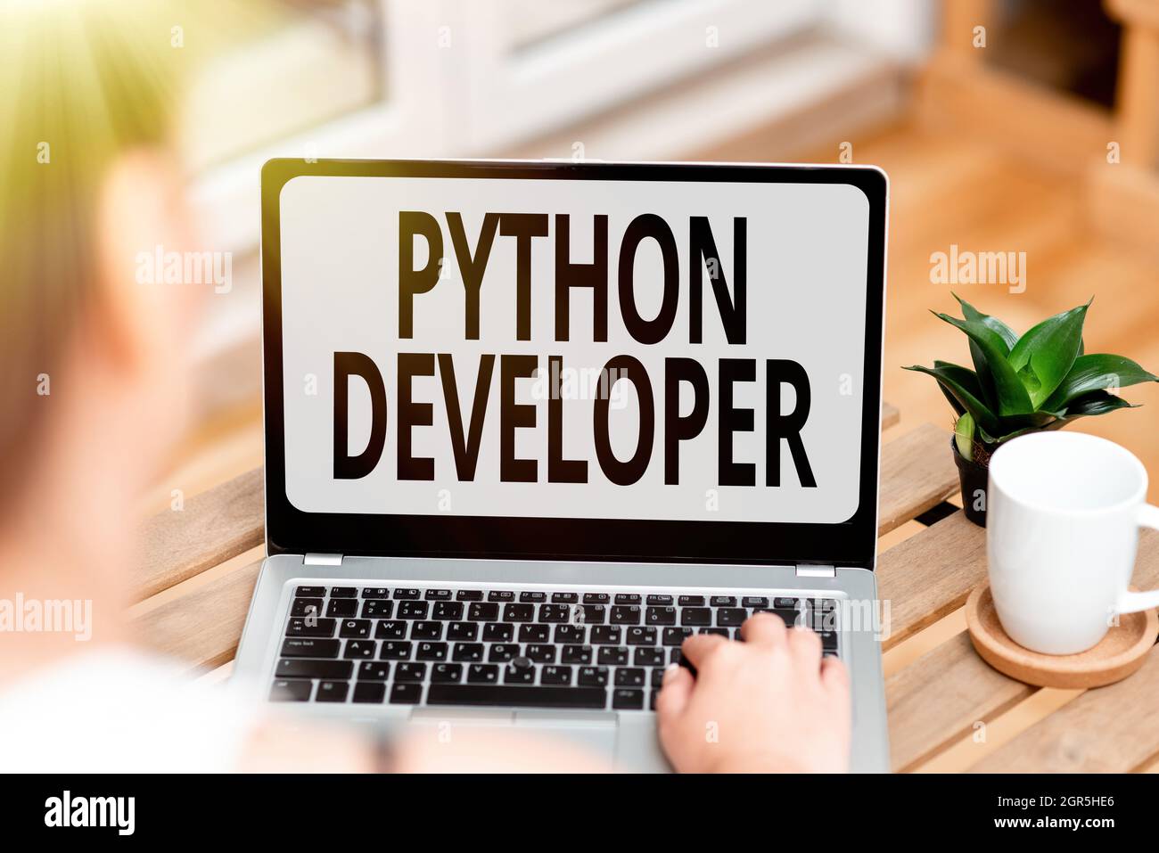 Writing displaying text Python Developer. Business idea responsible for writing serverside web application logic Voice And Video Calling Capabilities Stock Photo