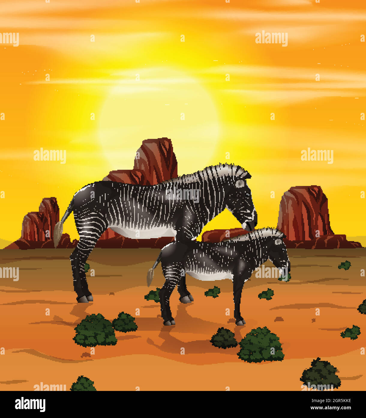 Zebra in the wild hi-res stock photography and images - Alamy