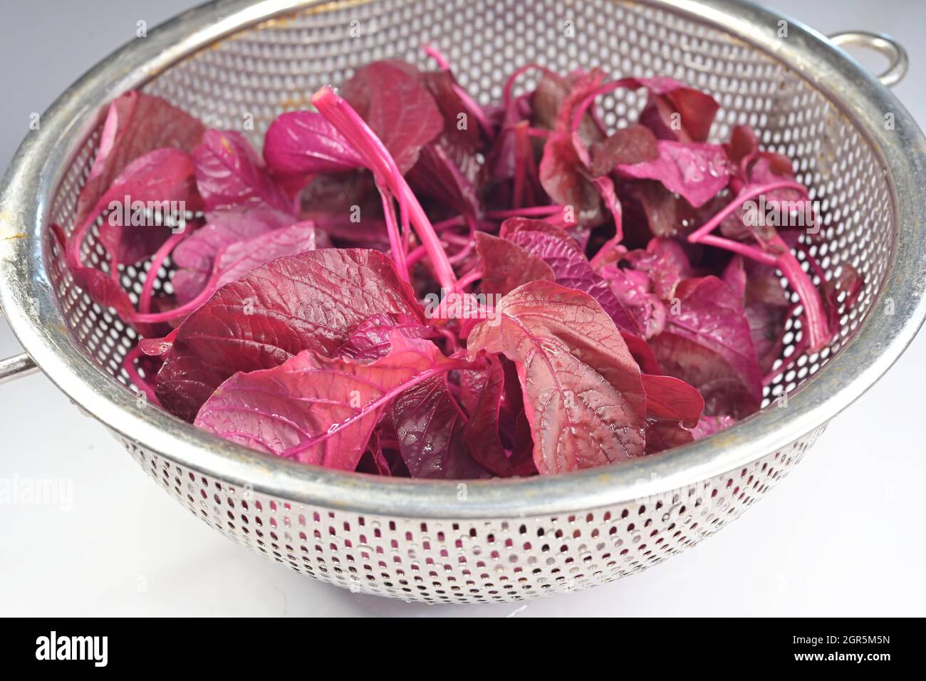The red spinach, Amaranthus dubius, gets its name from its bright, red coloured leaves. The leafy vegetables are a staple diet in many parts of India Stock Photo