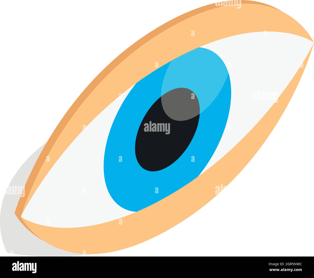Eyes icon, isometric 3d style Stock Vector Image & Art - Alamy