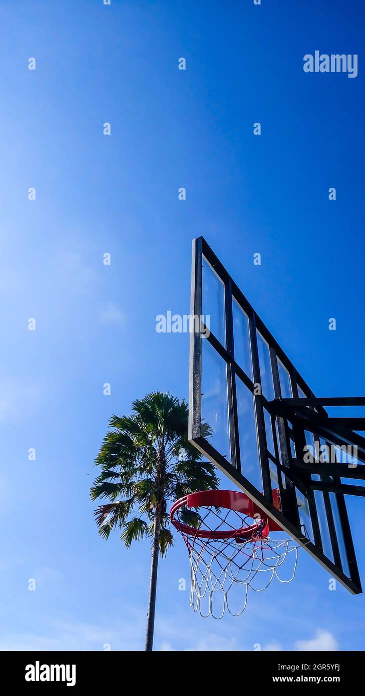 The Basketball Rim And Tree In The Blue Sky Stock Photo Alamy
