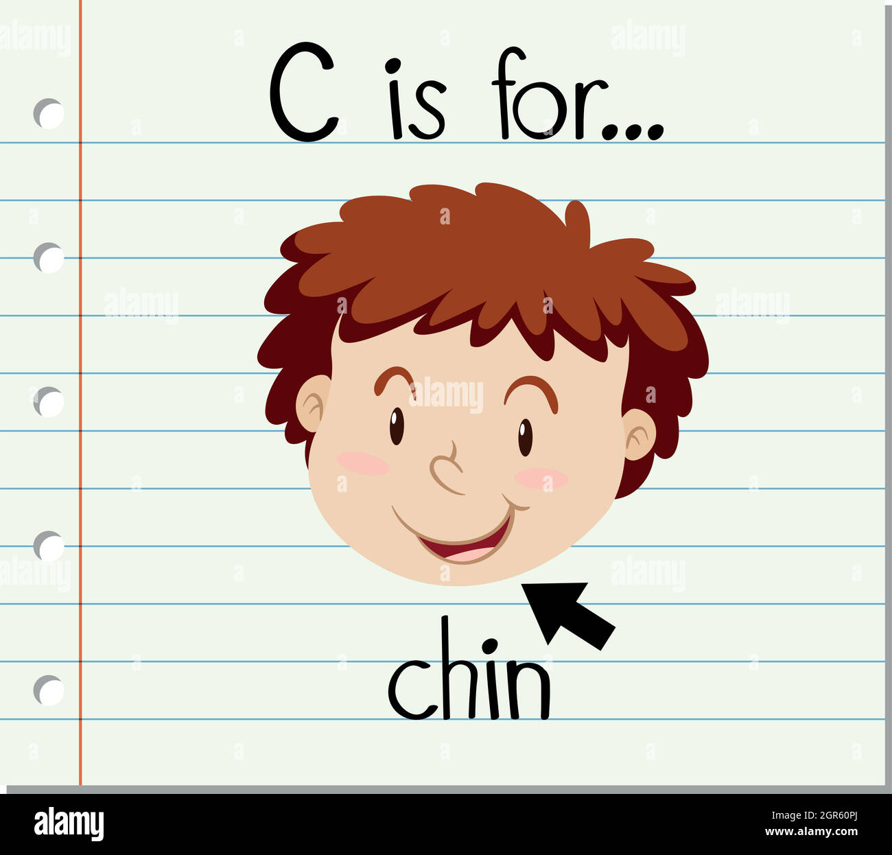 Flashcard letter C is for chin Stock Vector Image & Art - Alamy