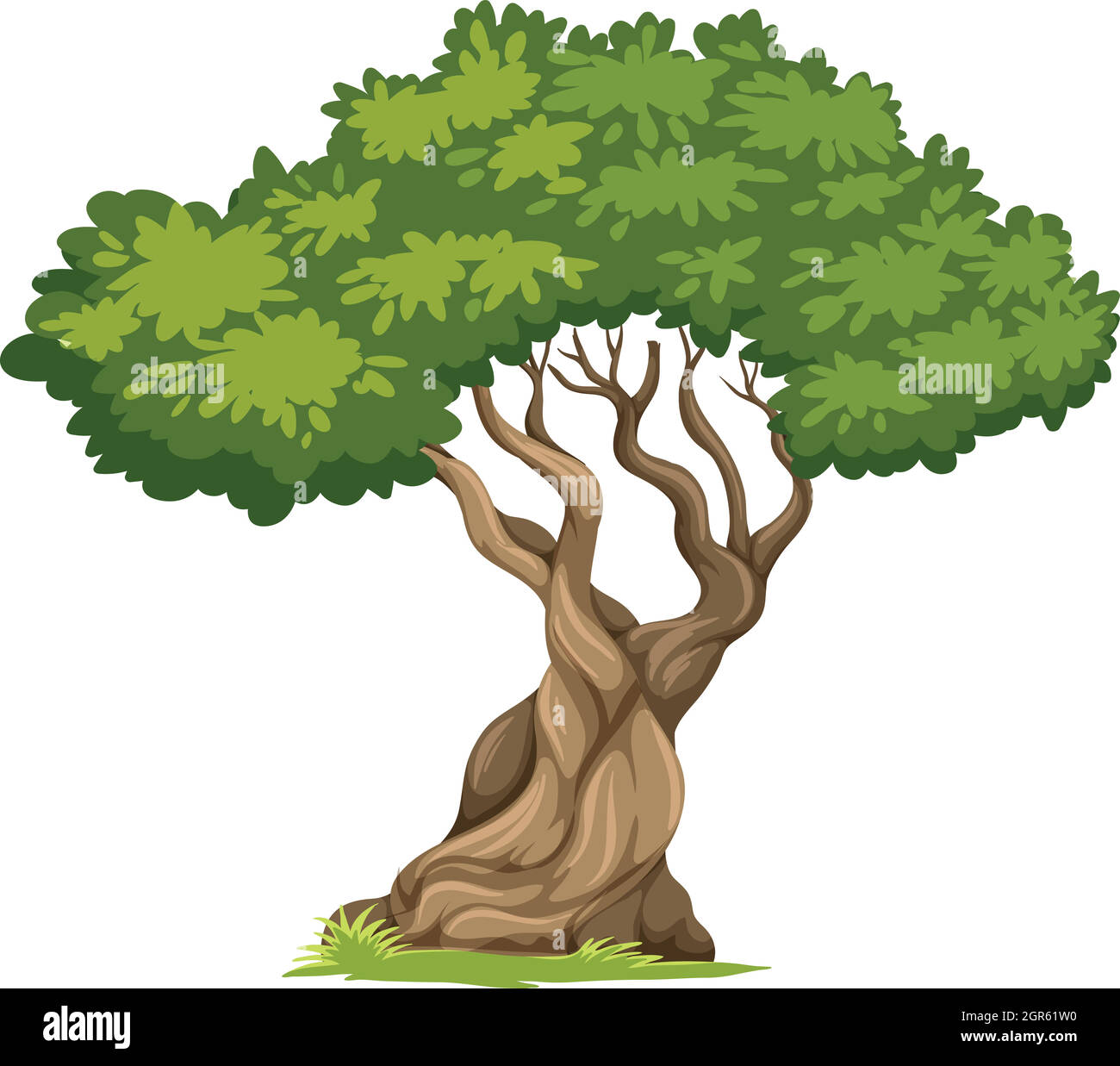 As isolated tree on white background Stock Vector Image & Art - Alamy