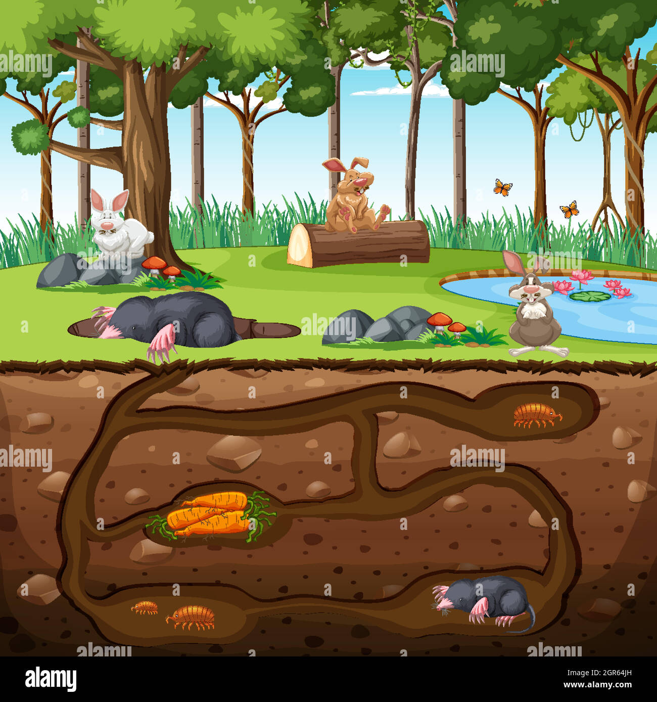 Underground animal burrow with mole family Stock Vector Image & Art - Alamy
