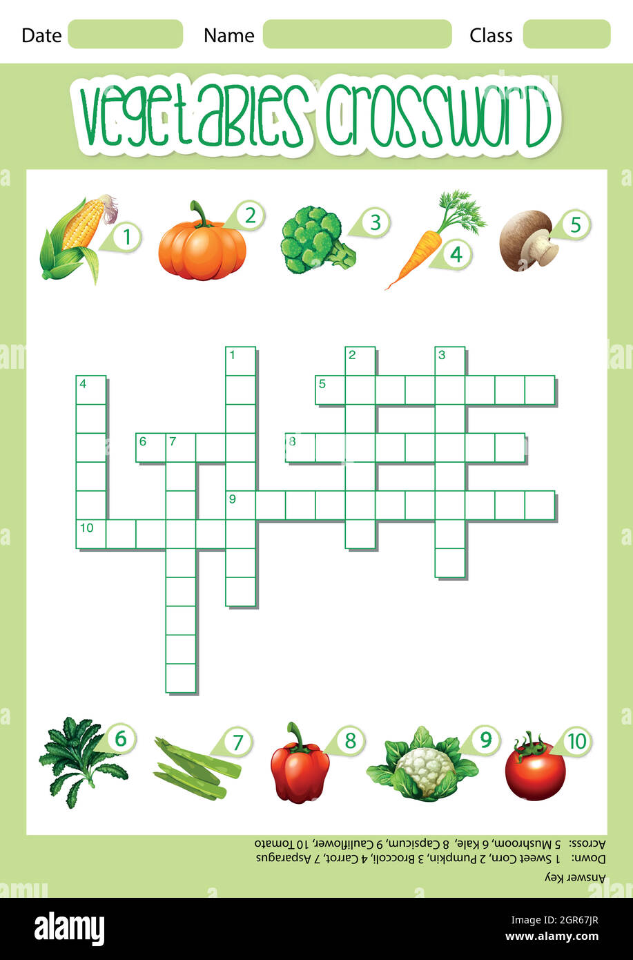 Vegetable crossword game template Stock Vector Image & Art Alamy