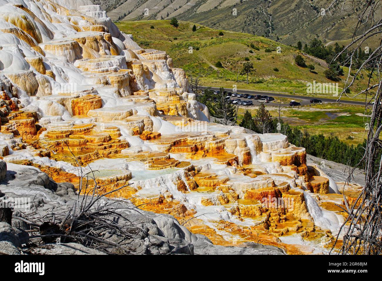 Geothermic Staircase - The astounding geothermic lower terraces at Mammoth Hot Springs in Yellowstone National Park Stock Photo