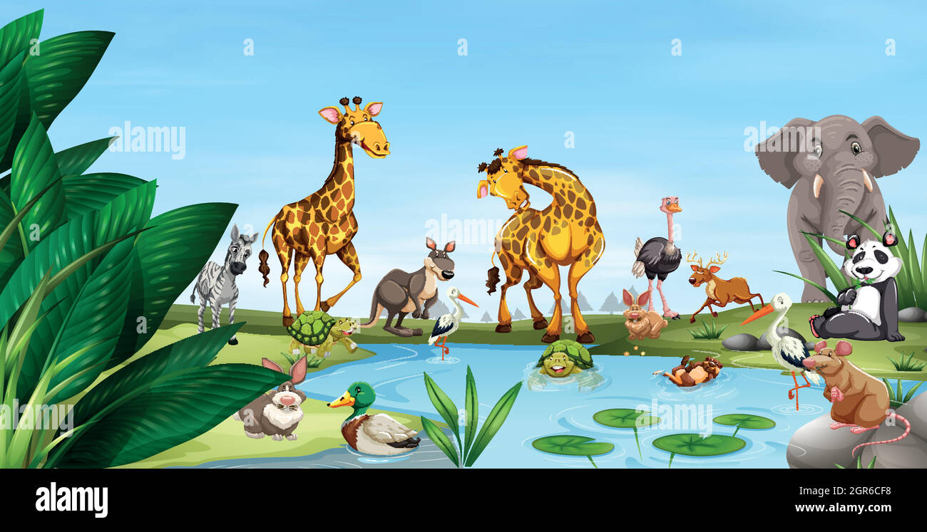 Wild animals by the pond Stock Vector Image & Art - Alamy