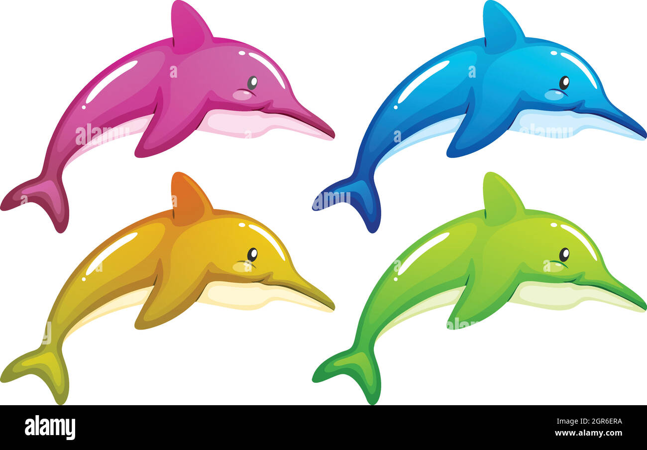 Four dolphins Stock Vector