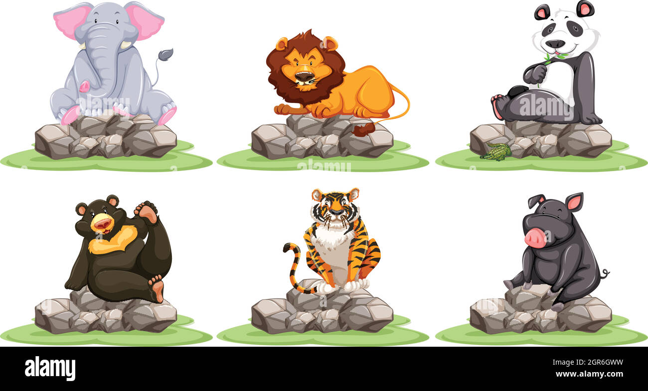 Different types of wild animals on rocks Stock Vector Image & Art - Alamy