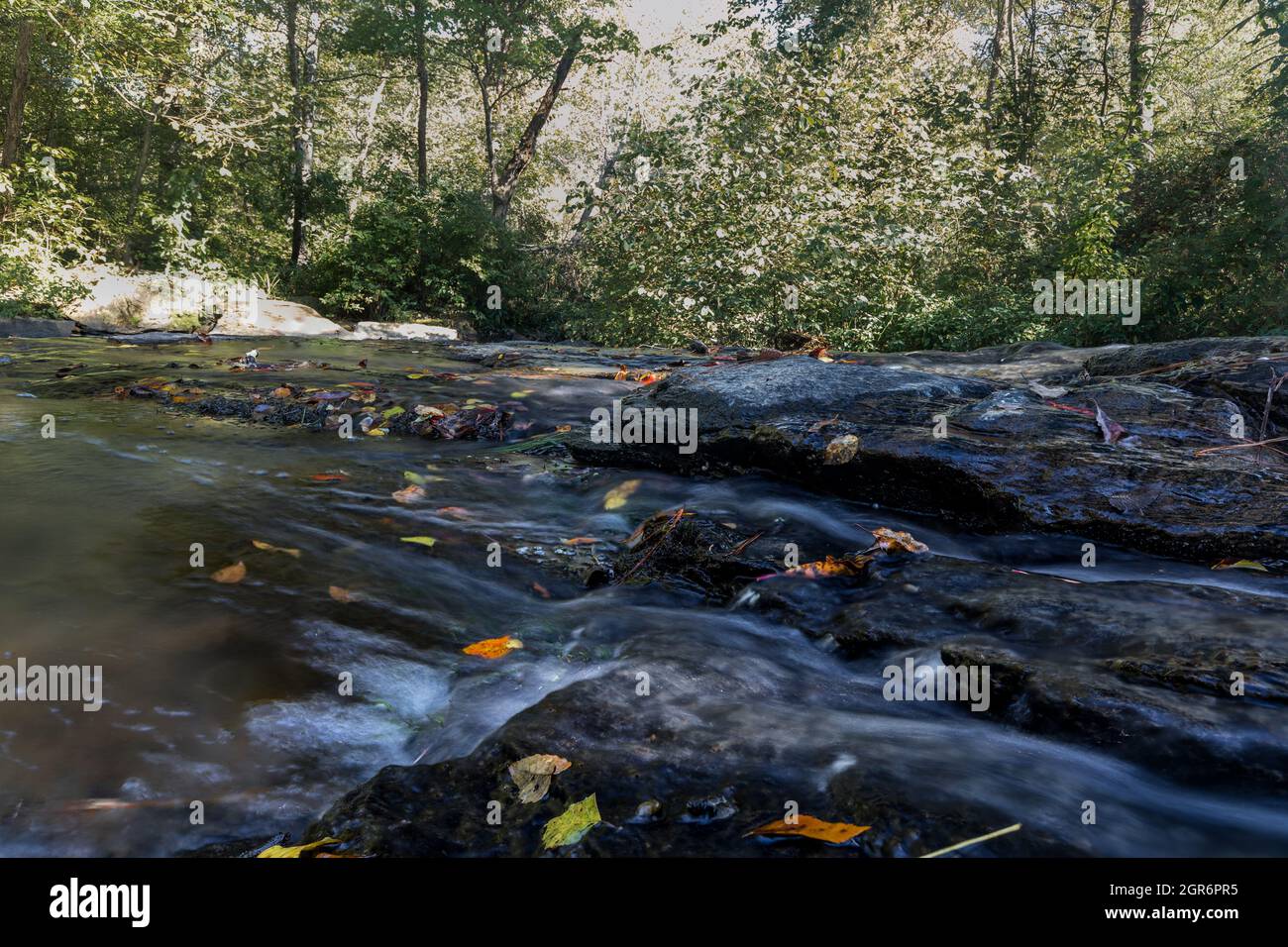 Leaves on rocks in a stream. Stock Photo