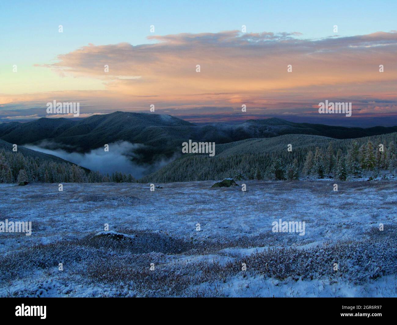 Siberia tundra snow tree hi-res stock photography and images - Alamy