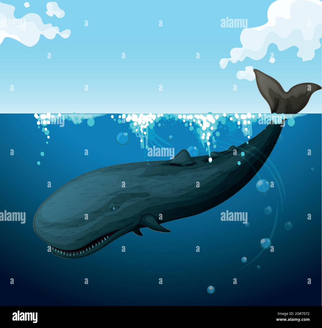 Whale swimming under the sea Stock Vector Image & Art - Alamy