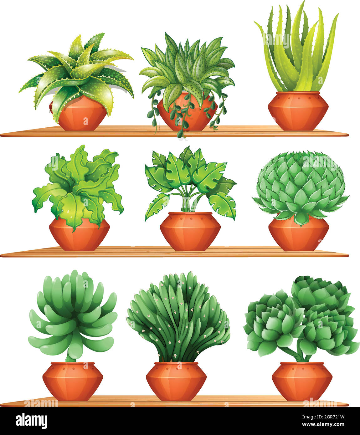 Different kinds of plants in clay pots Stock Vector