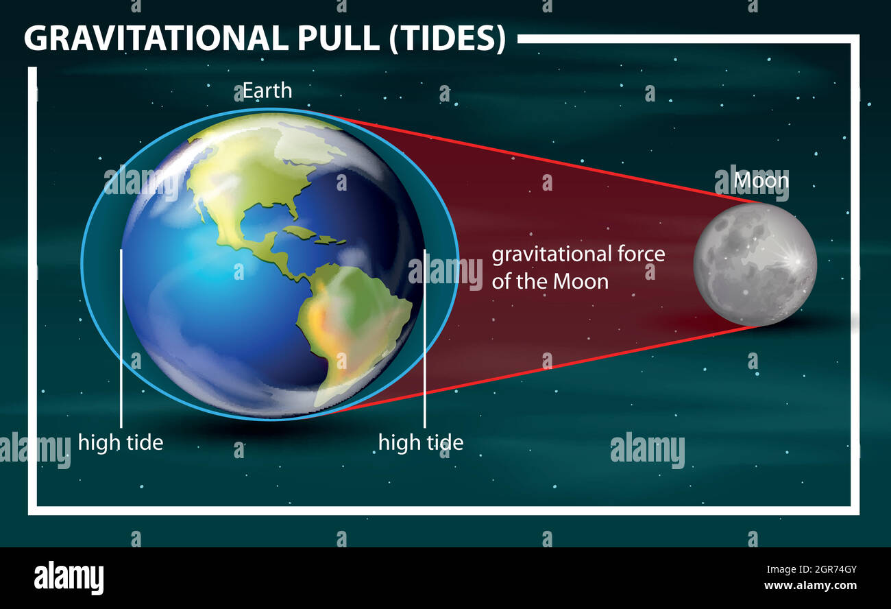 gravitational pull tides diagram Stock Vector