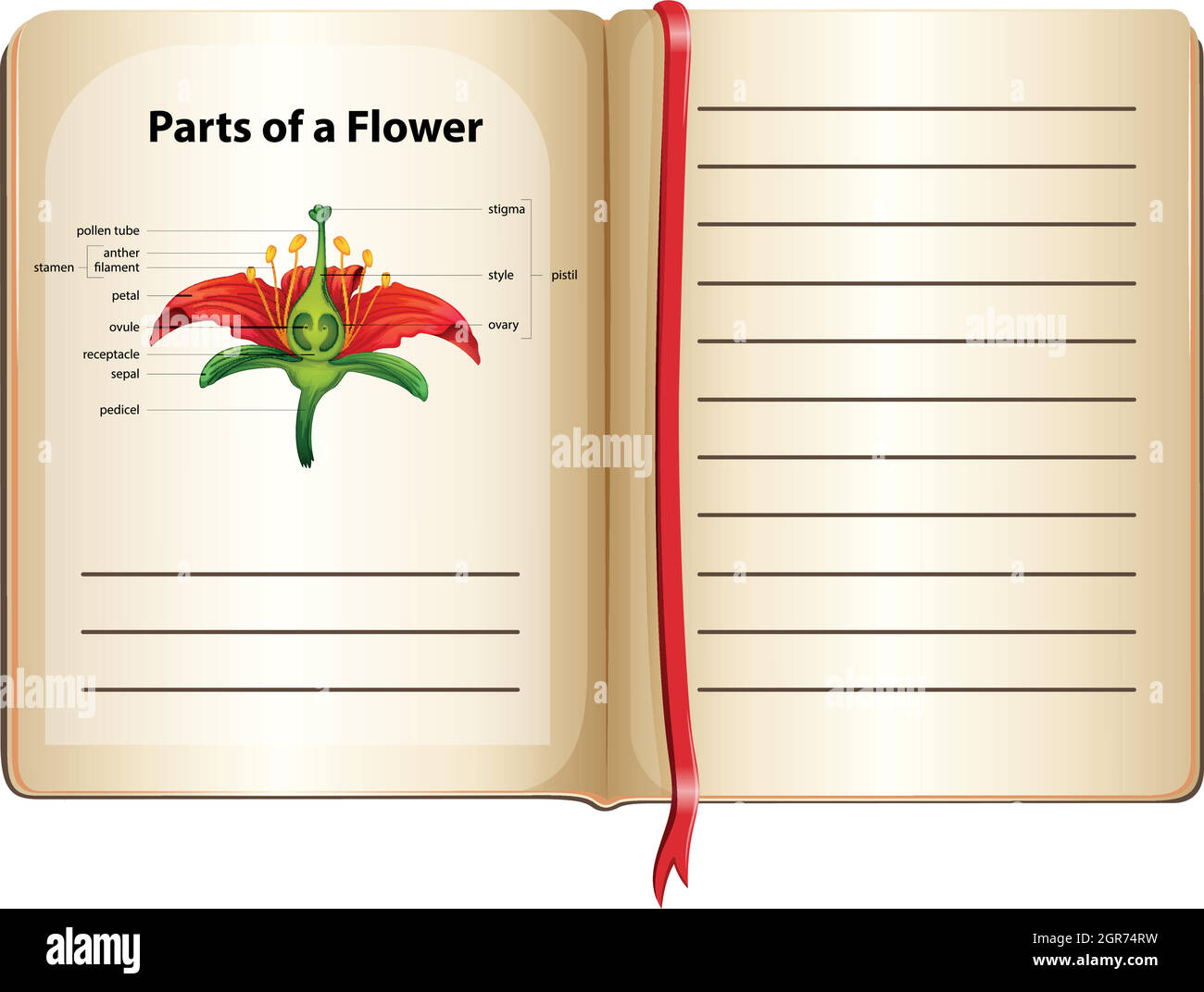 Parts of flower on a book Stock Vector