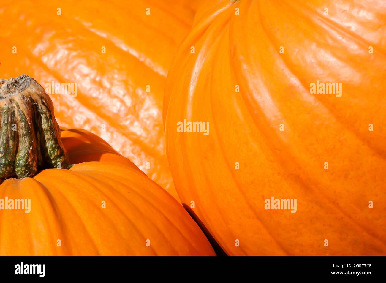 Close Up - Pumpkins Stock Photo - Alamy