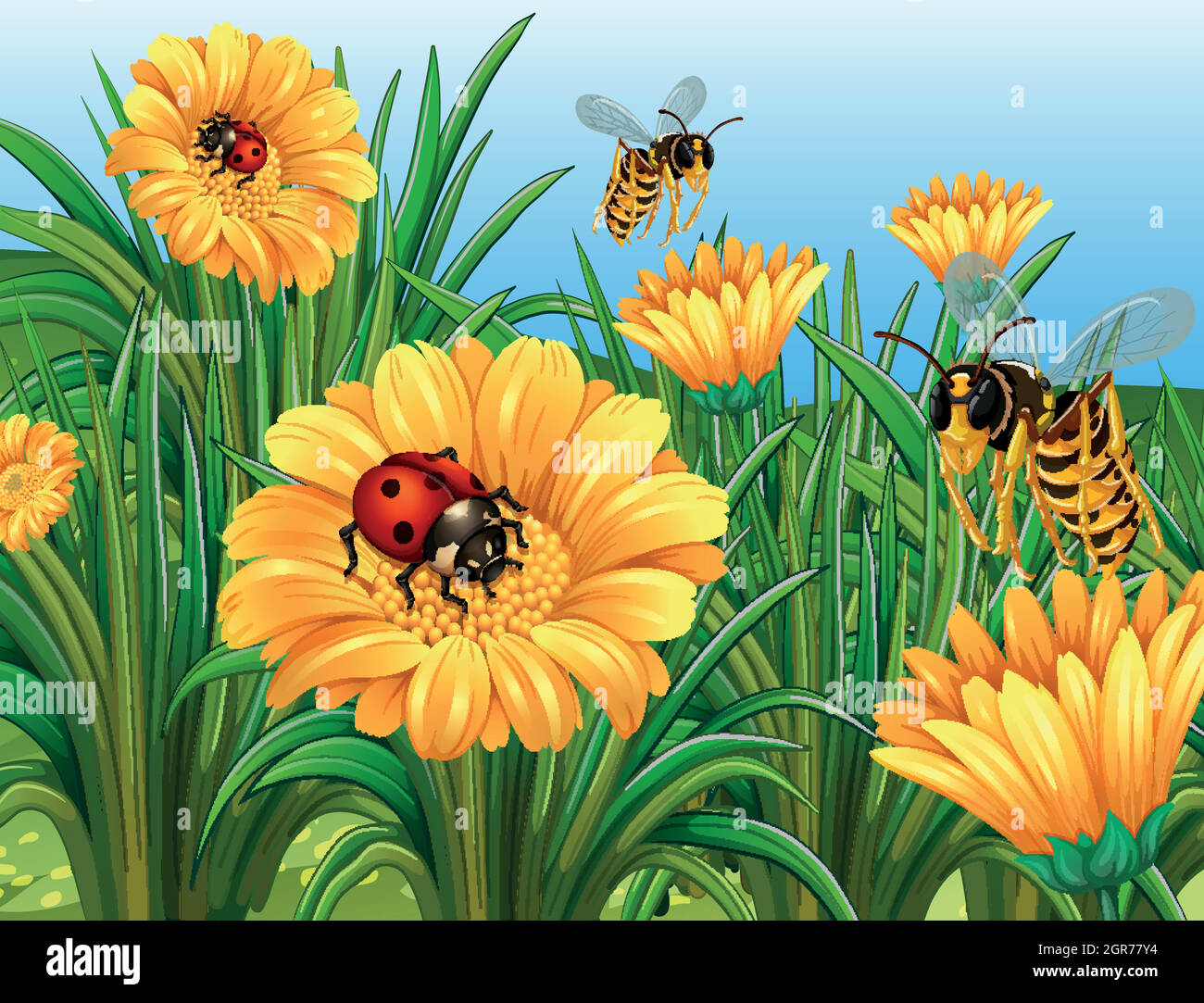 Ladybugs and wasps flying in garden Stock Vector Image & Art - Alamy