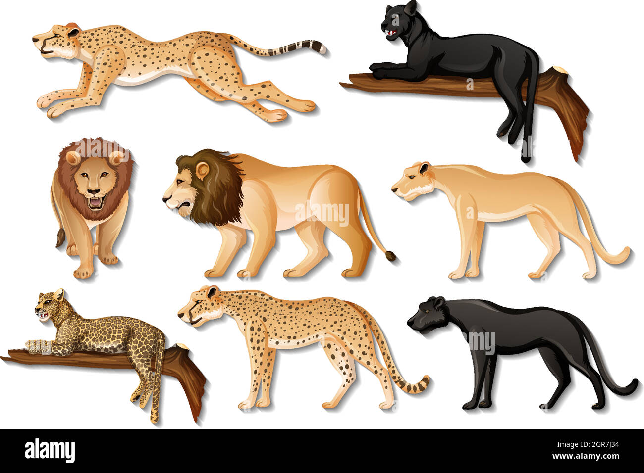 Set of isolated wild African animals on white background Stock Vector ...