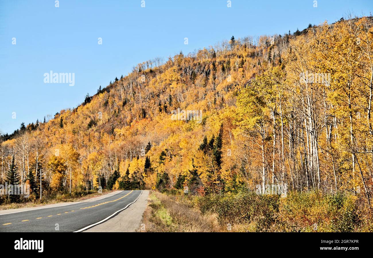 Golden hills on a sunny, blue sky day in autumn in North Western Ontario, Canada. Stock Photo