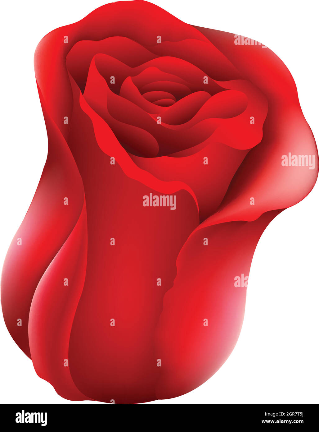 A red rose Stock Vector Image & Art - Alamy