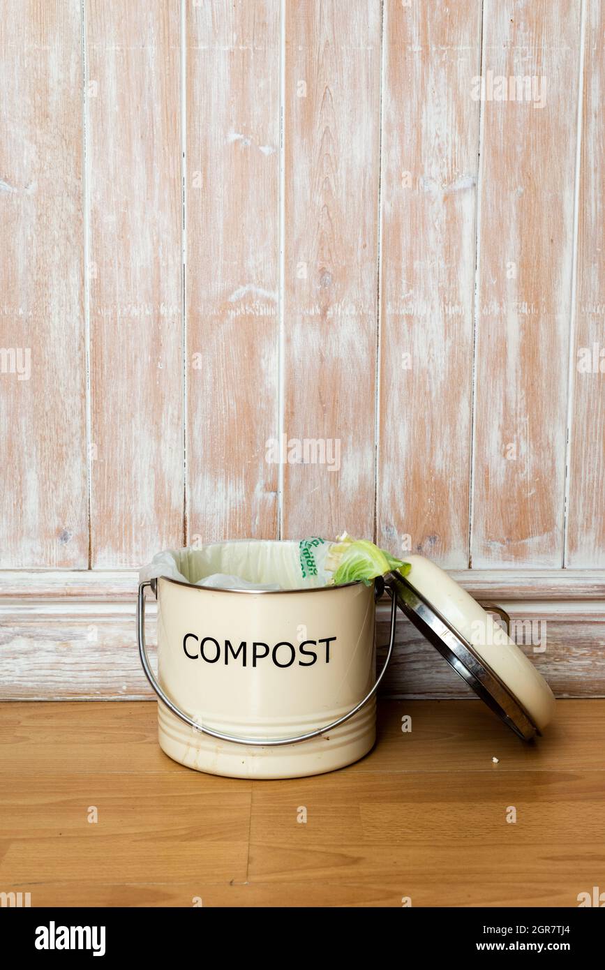 Food waste from domestic kitchen for eco friendly disposal and