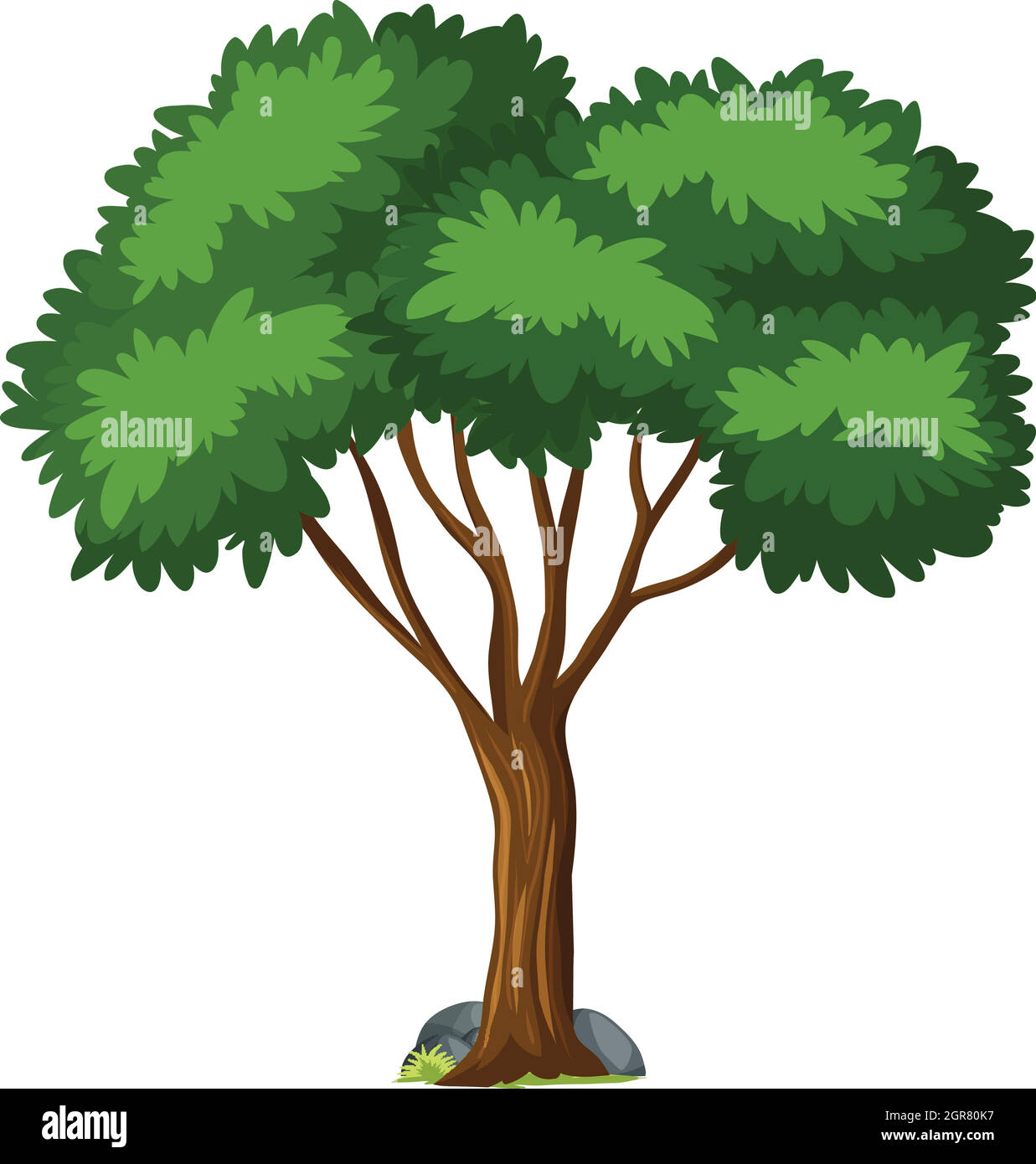 Isolated tree on white background Stock Vector Image & Art - Alamy