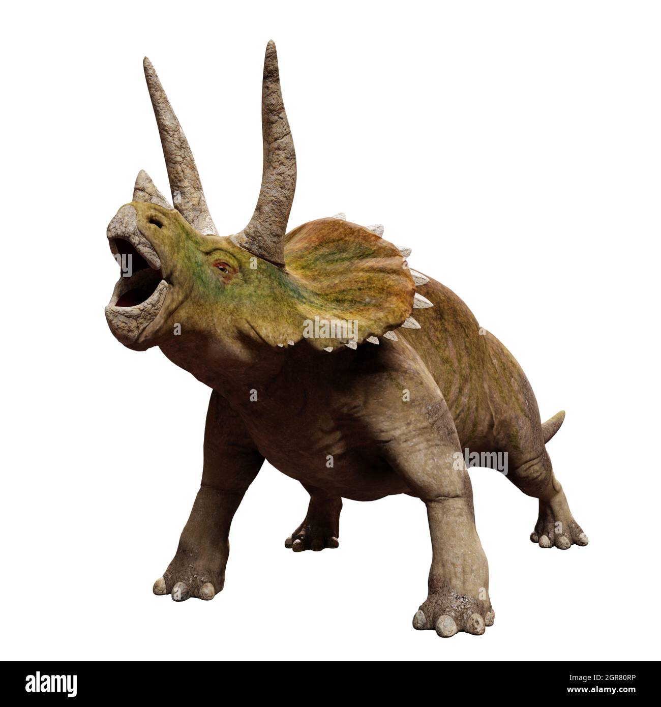 Dinosaurs with quills hi-res stock photography and images - Alamy