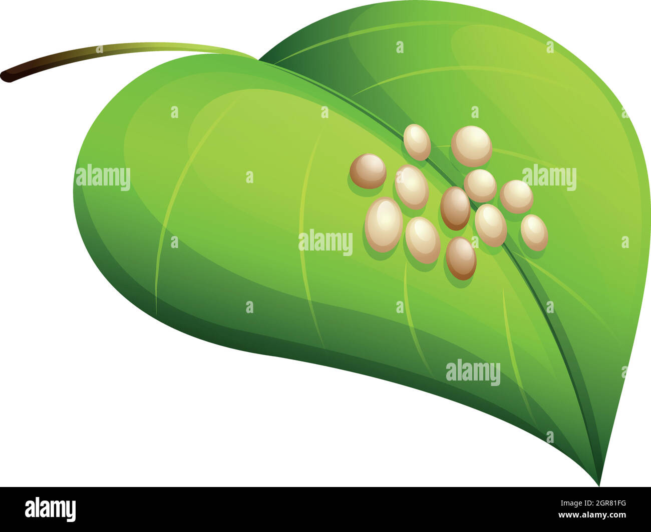 Silkworm eggs hi-res stock photography and images - Alamy