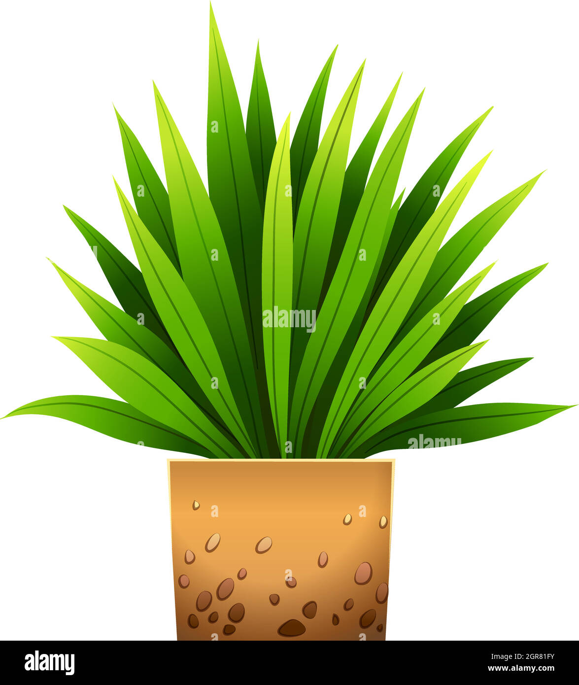 Plant Stock Vector