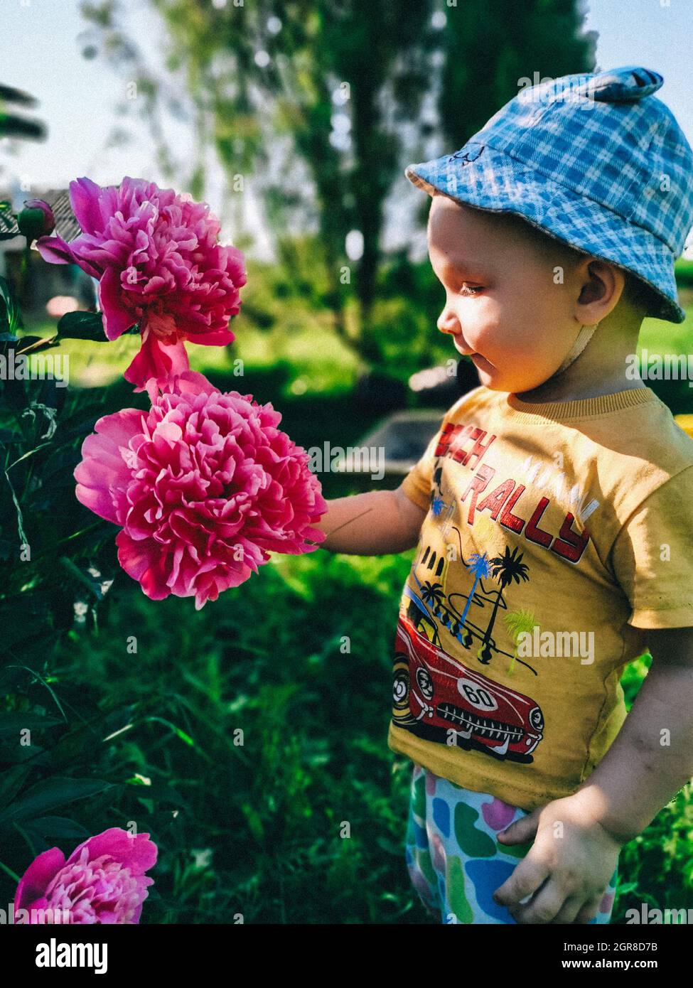 Close-up Of Boy With Pink Flowers Stock Photo