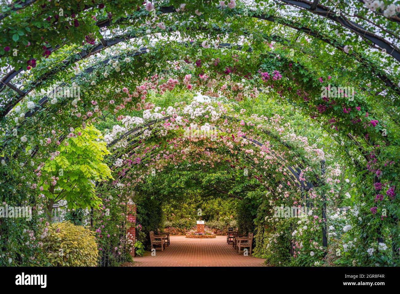 Yokohama Rose Garden Hi Res Stock Photography And Images Alamy