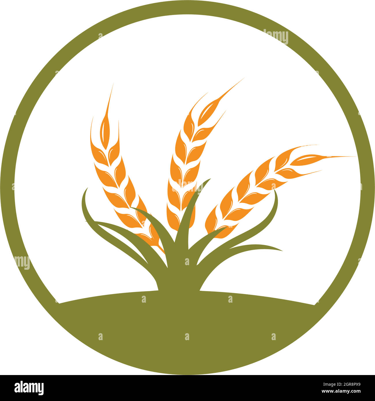 Agriculture wheat   vector icon illustration design Stock Vector